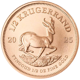 2025 South African Krugerrand 1/2oz Gold Coin