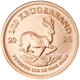 2025 South African Krugerrand 1/10oz Gold Coin