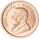 2025 South African Krugerrand 1/10oz Gold Coin