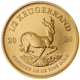 2026 South African Krugerrand 1/2oz Gold Coin
